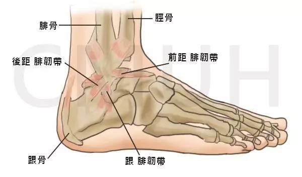 圖片關鍵詞