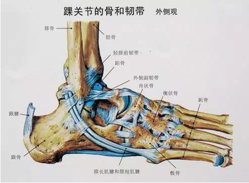 圖片關鍵詞